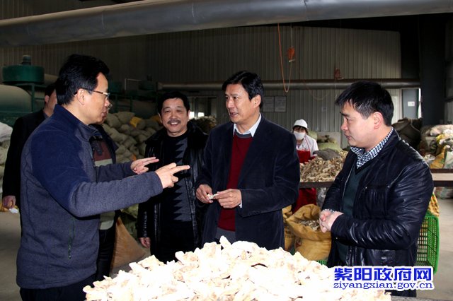 省发改委副主任张西林到紫阳视察调研