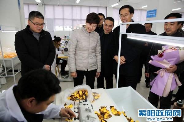 1月24日，在迪鑫毛绒玩具新社区工厂与工人亲切交谈.jpg