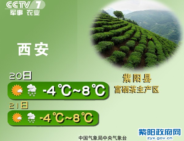 110-西安-紫阳县富硒茶主产区01.jpg