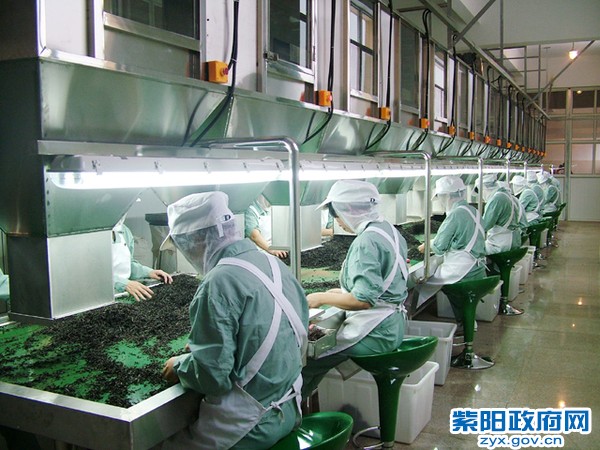 集茶叶加工、包装于一体的生产线0.jpg