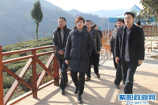 陈莲营梁茶山调研旅游发展.jpg