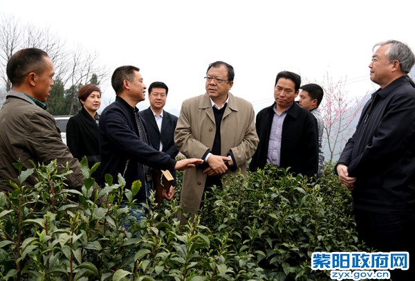 3月24日，省科技厅厅长卢建军在城关镇双坪村调研.jpg
