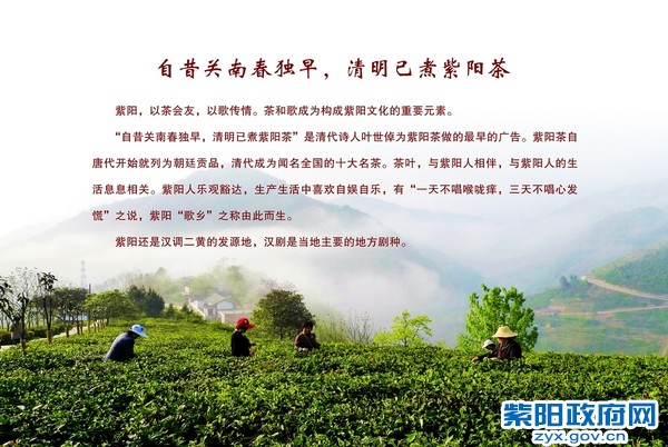3-茶歌.JPG