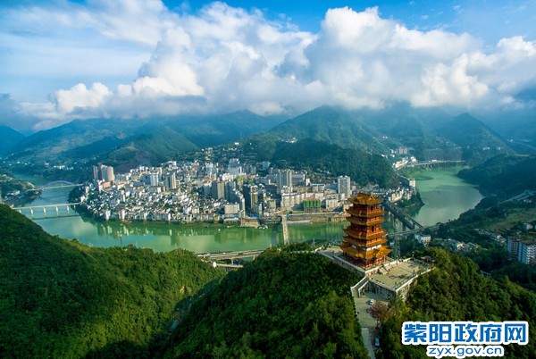 1、紫邑新城 彭永辉.JPG