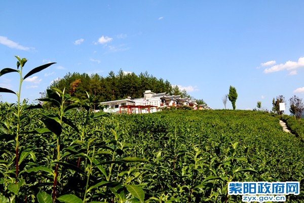 IMG_4824_副本.jpg