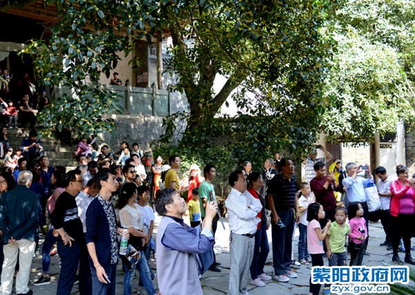 紫阳十一旅游创新高 (01).jpg