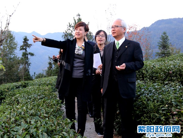 10月31日至11月1日，陪同日本静冈县牧之原市市长西原茂树来紫考察交流 (1).jpg