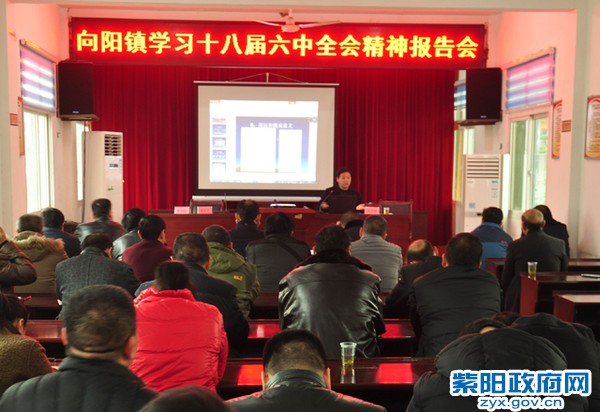 向阳2.jpg