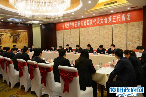 陈勇发言大景.jpg
