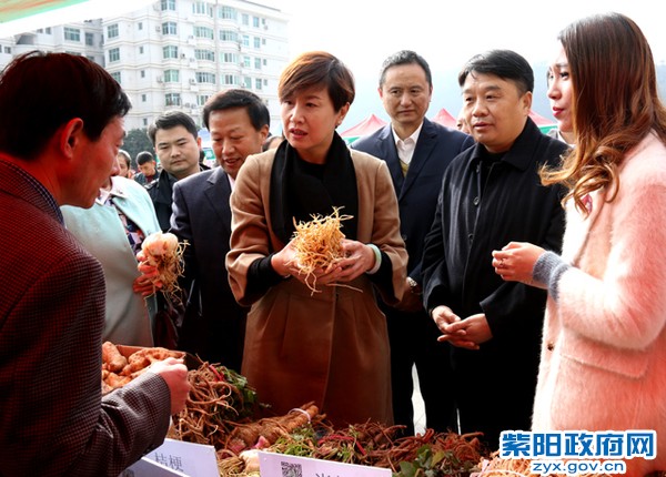 陈莲参观指导第二届紫阳电商购物节展销情况0.jpg