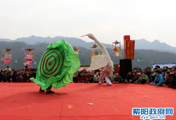 贝壳表演.jpg