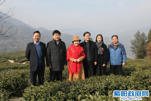 IMG_2508_爱奇艺_副本.jpg