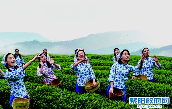 乡约0.jpg