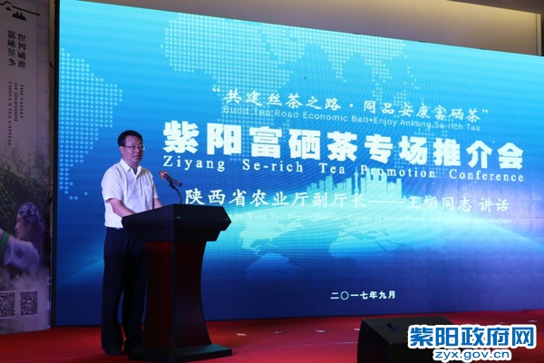 陕西省农业厅副厅长王韬讲话.JPG