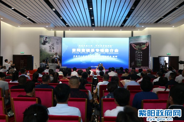 7B0A6949_爱奇艺.jpg