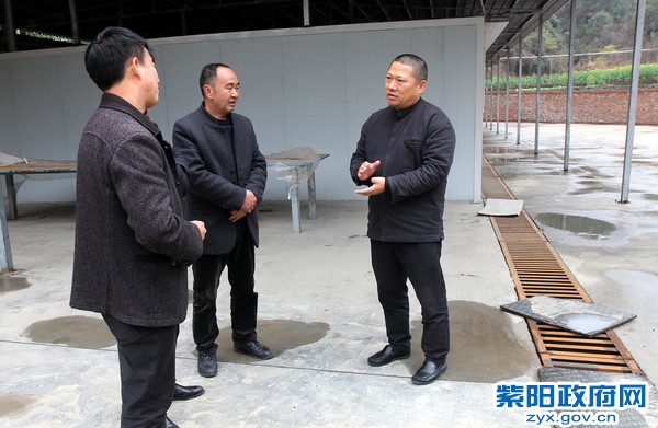 3月20日，康主席在蒿坪镇王家河村调研.JPG