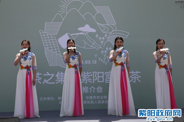 6M0A0415.JPG