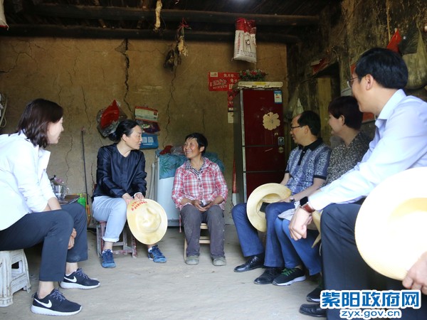 市政协副主席唐纹来紫调研.jpg