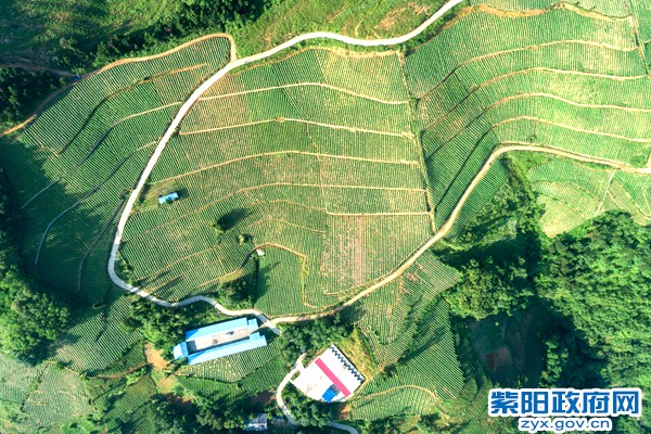 图片1_副本.png
