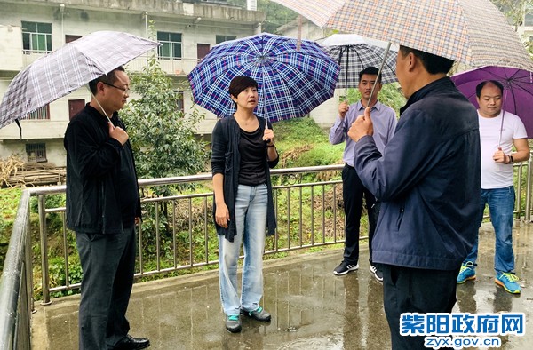 陈县长雨中视察2(1).jpg