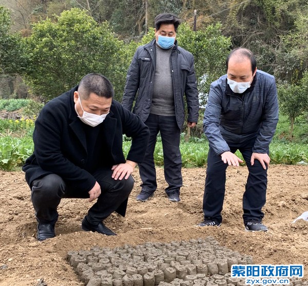 微信图片_20200317082424.jpg