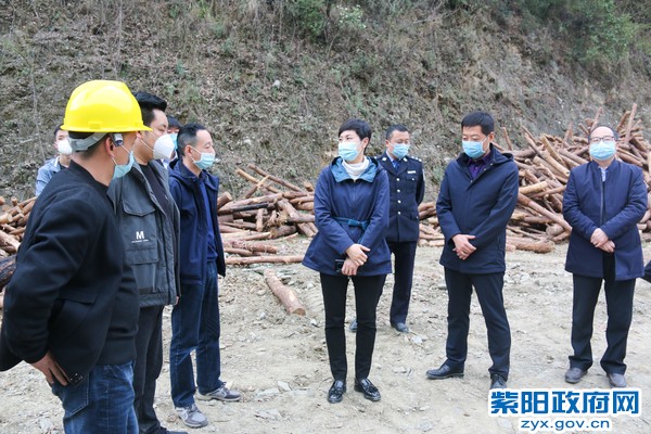 3月16日，陈县长蒿坪调研森林防火.jpg