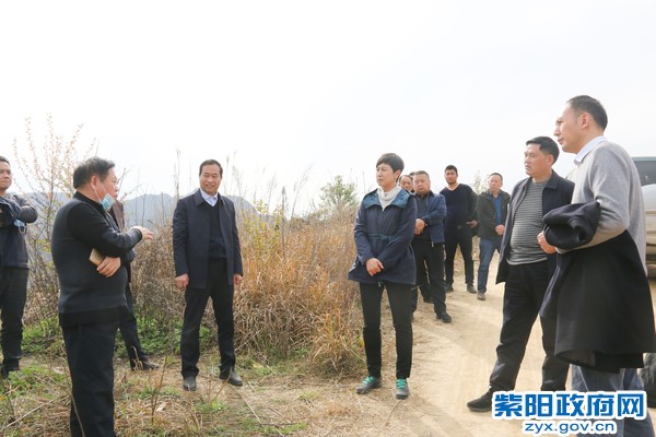3月18日，陈县长检查搬迁后扶.jpg
