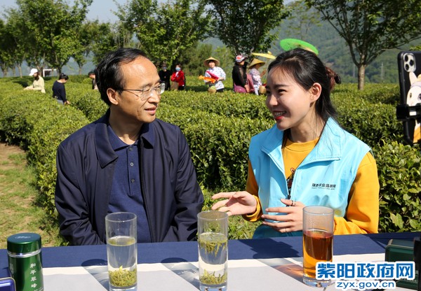 4月26日，鲁琦副市长为紫阳富硒茶代言.jpg
