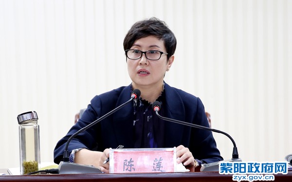 陈县长讲话特写.jpg