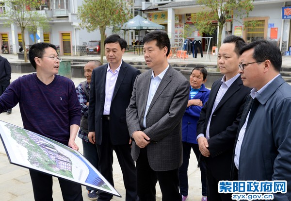 东木看规划.jpg