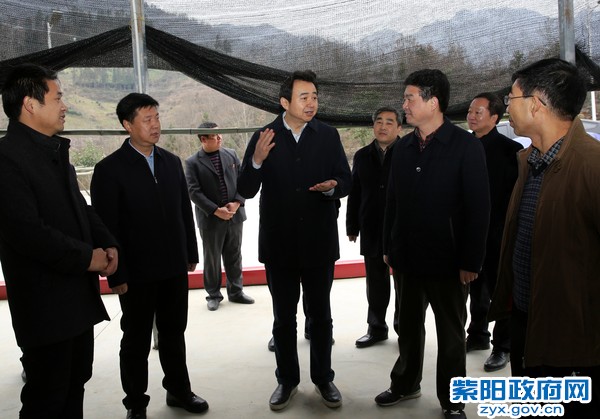 12月12日，市委常委黄勇在乡源专业合作社调研.jpg