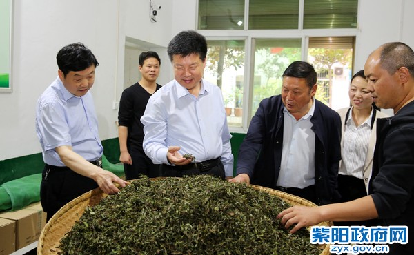 4月26日，在关南春茶厂调研.jpg