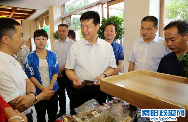 6月22日，在焕古镇大连村苏秦专业合作社调研.jpg