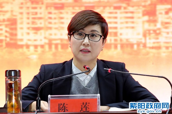 陈县长讲话特写.jpg