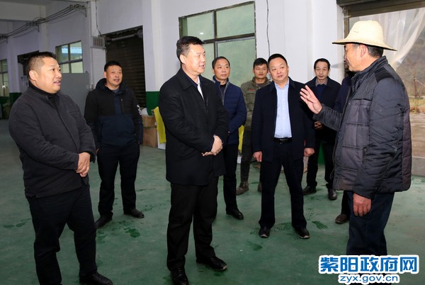 12月15日，在双桥镇苗河茶叶专业合作社调研.jpg
