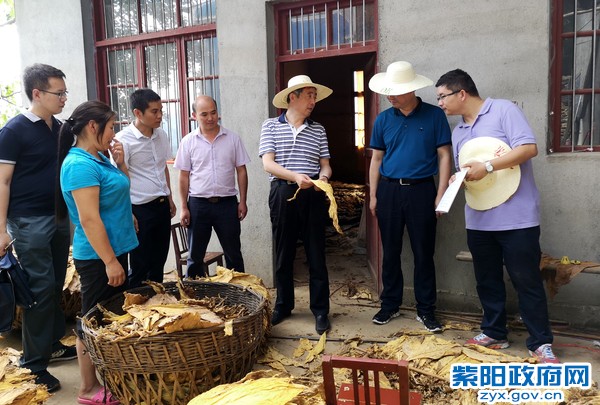 7月28日，国务院扶贫办副主任陈志刚在高滩镇万兴村调研脱贫攻坚工作.jpg