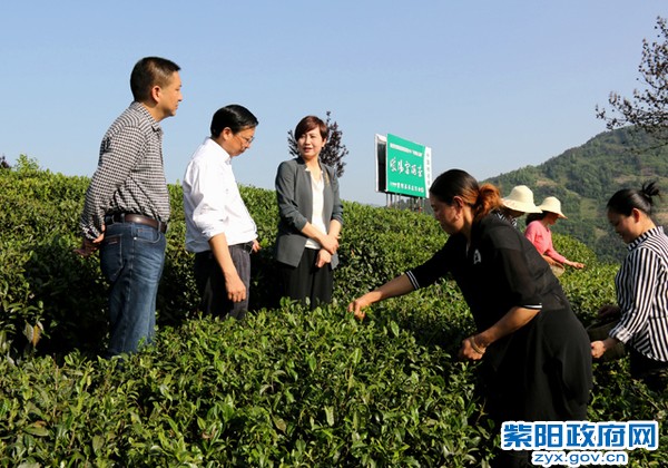 照片 113.jpg