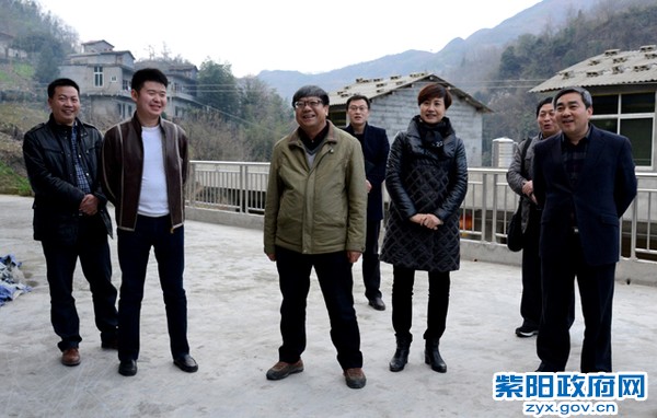 在高桥镇铁佛村调研.jpg