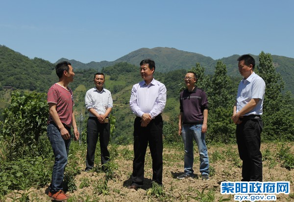5月17日，在高桥镇板厂村调研脱贫攻坚工作.JPG