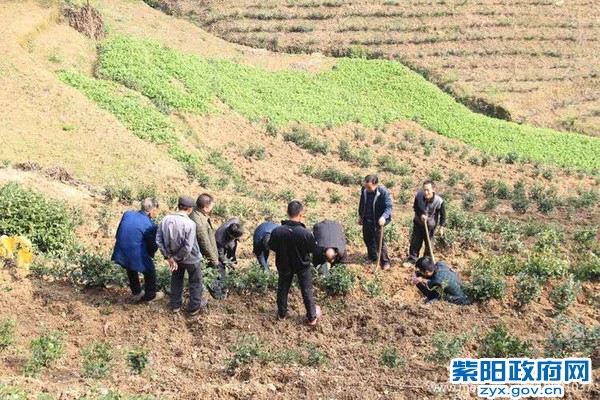 微信图片_20170514123303.jpg
