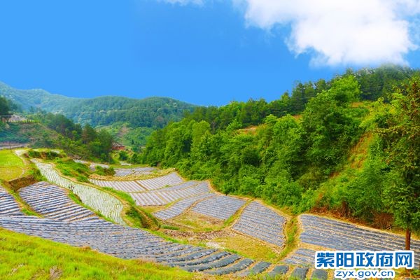 一品农业园区_副本.jpg