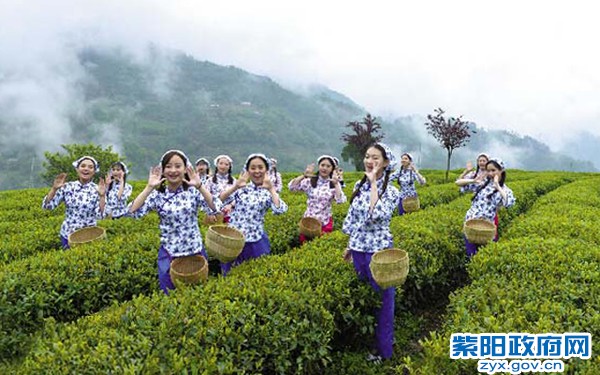 146131090438546068副本.jpg