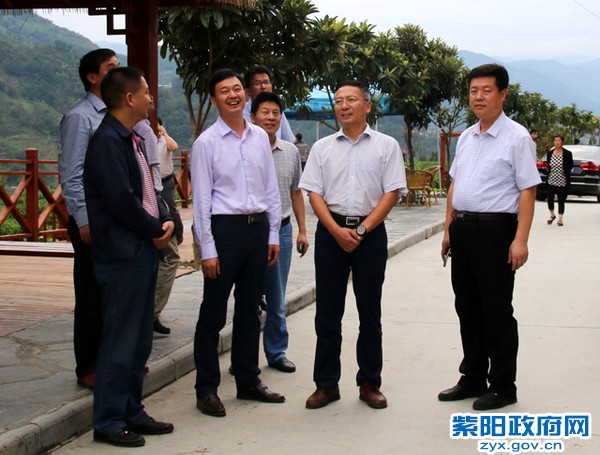 在向阳镇营梁村调研.jpg
