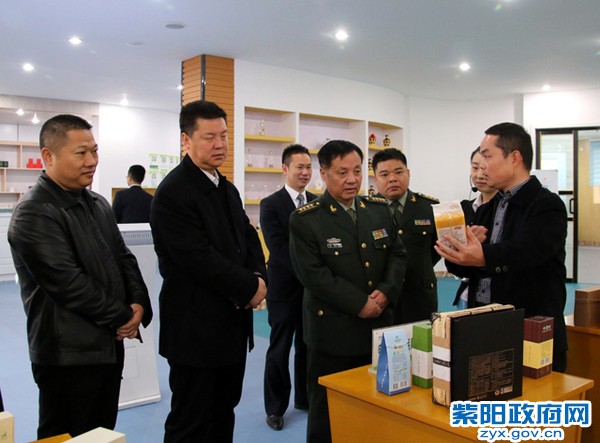 高兴平视察电子商务孵化中心.jpg
