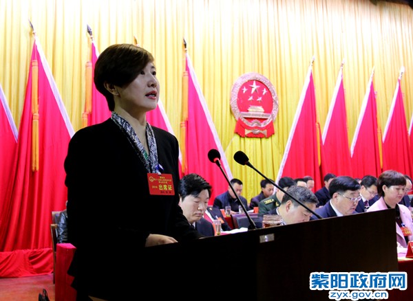 陈莲县长作政府工作报告.jpg