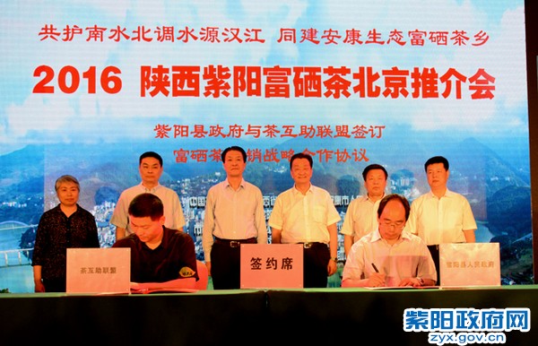 签约.jpg