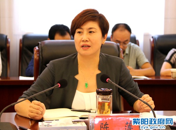 陈县长在党组会上特写00.jpg