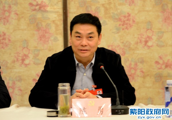 陈勇主席特写.jpg