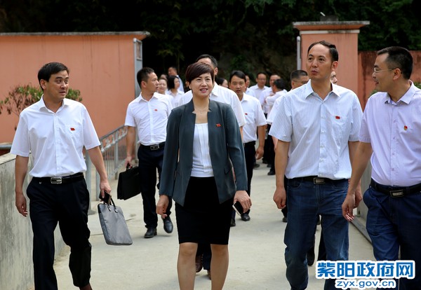 6月29日，在芭蕉小学开展主题党日活动2.jpg
