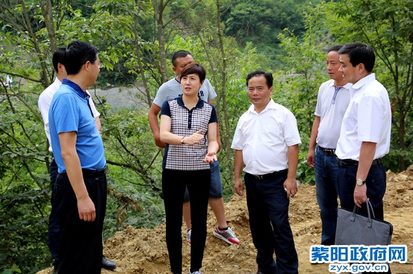6月30日，在青中村调研美丽乡村建设1.jpg